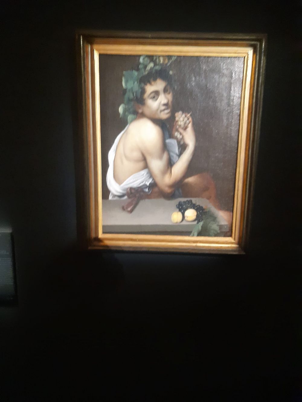 bacchino malato