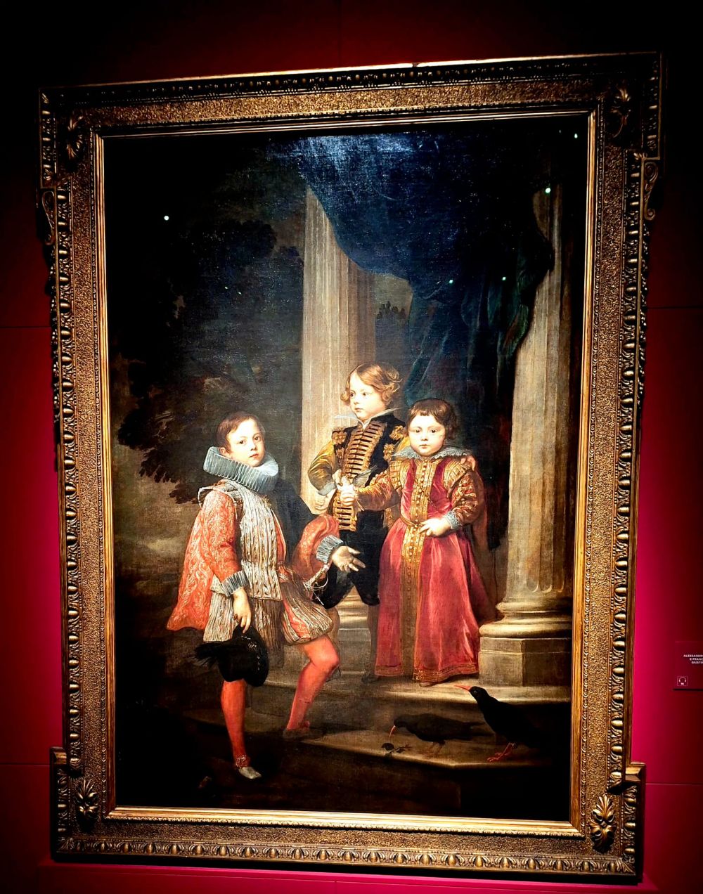 van dyck genova