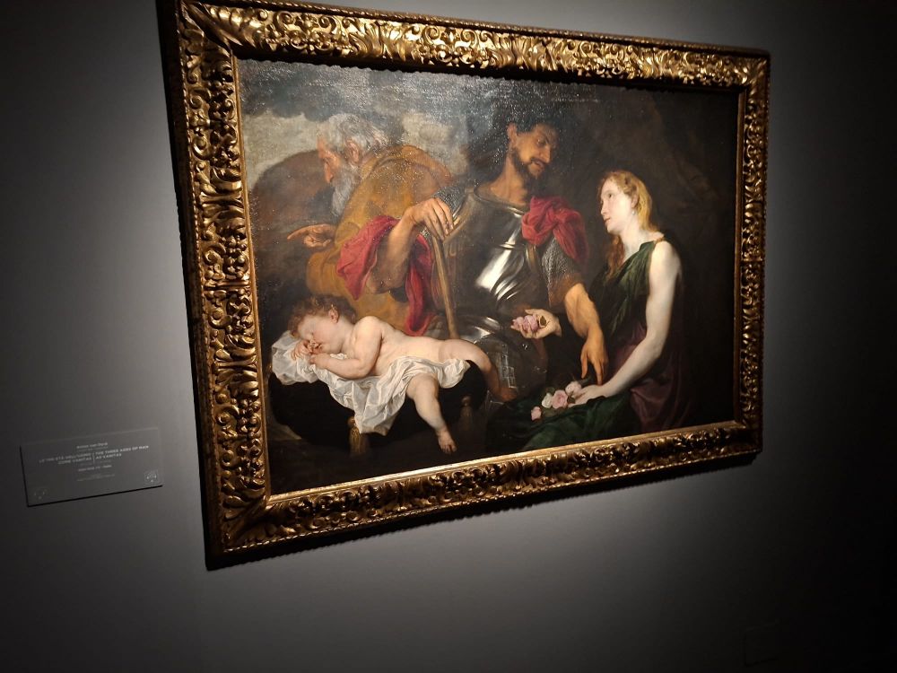 van dyck genova