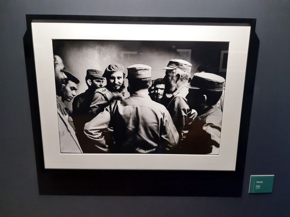 fidel
