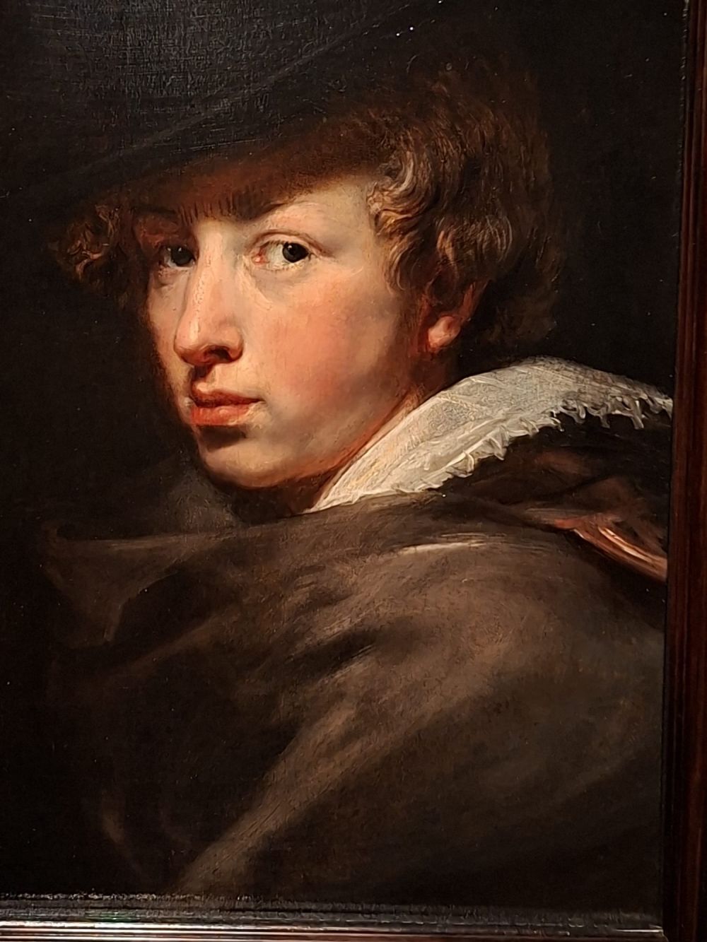 van dyck genova