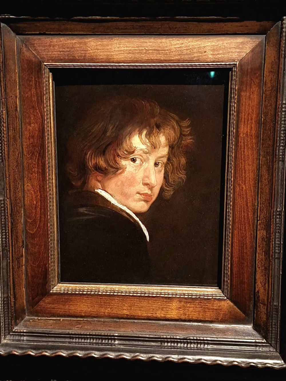 van dyck genova