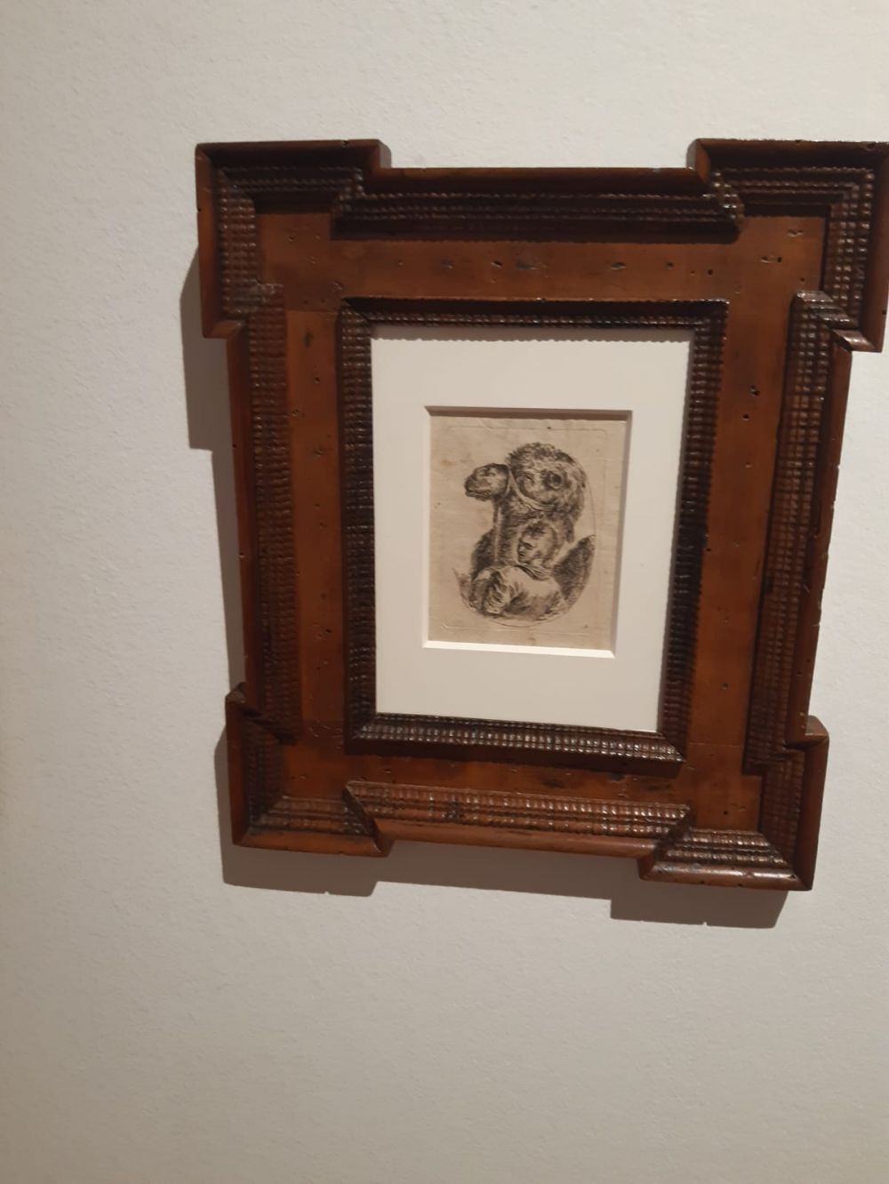 Museo mediceo Livorno