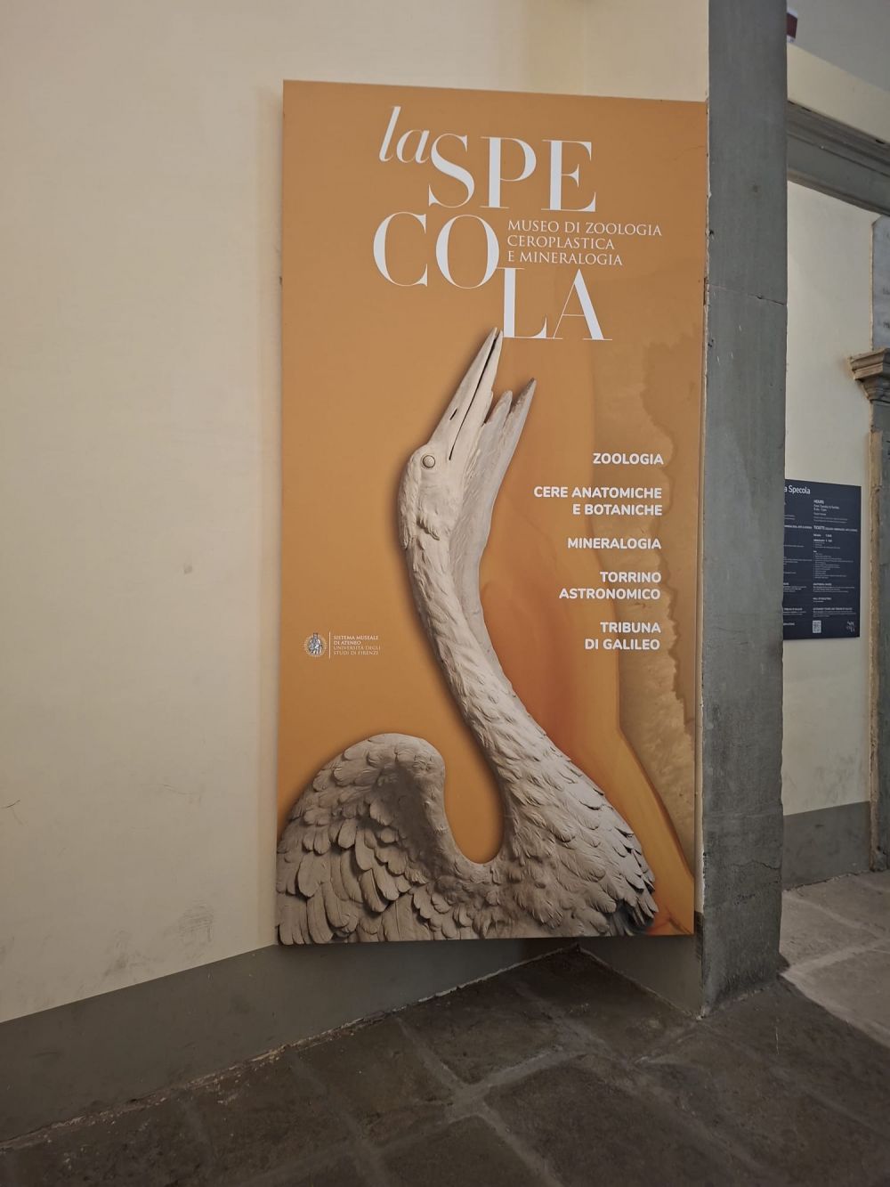la specola