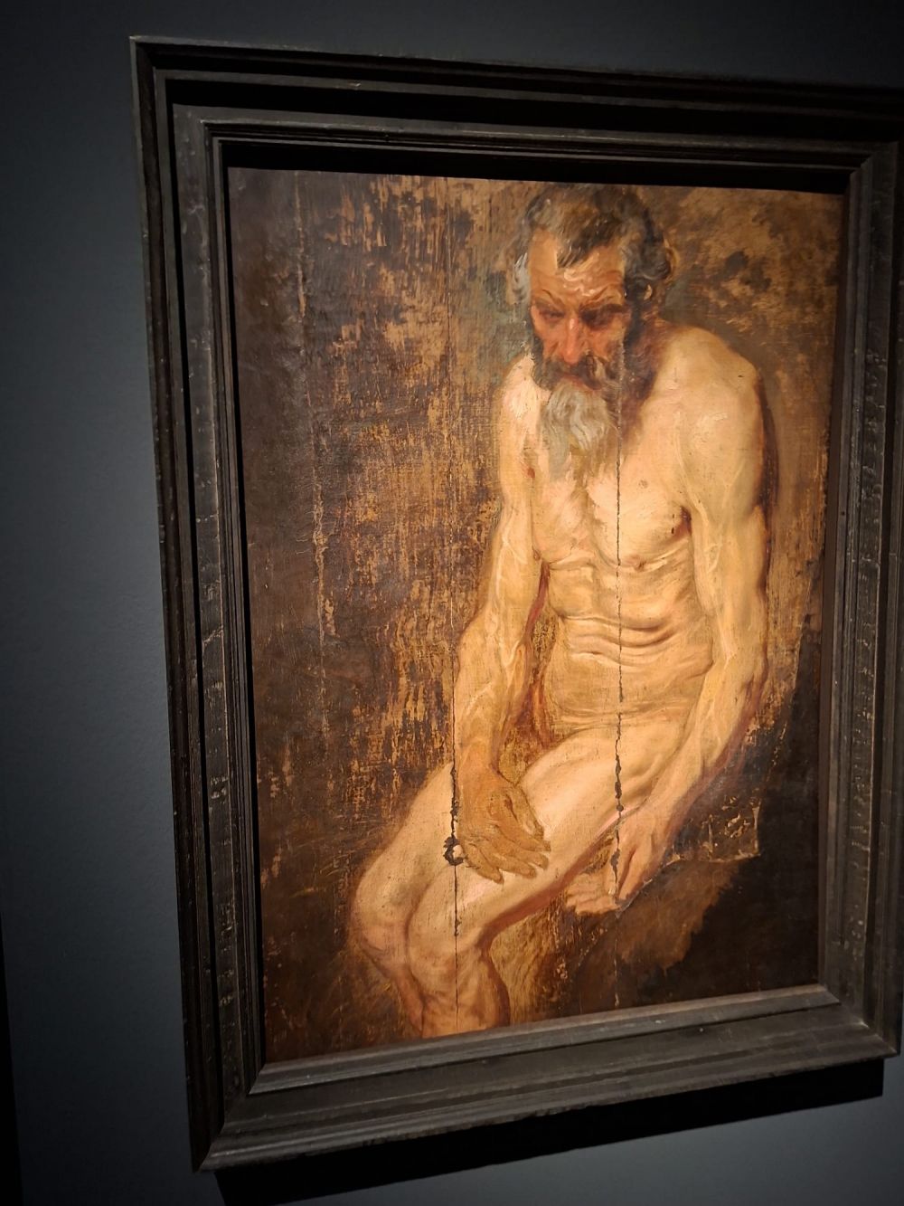 van dyck genova